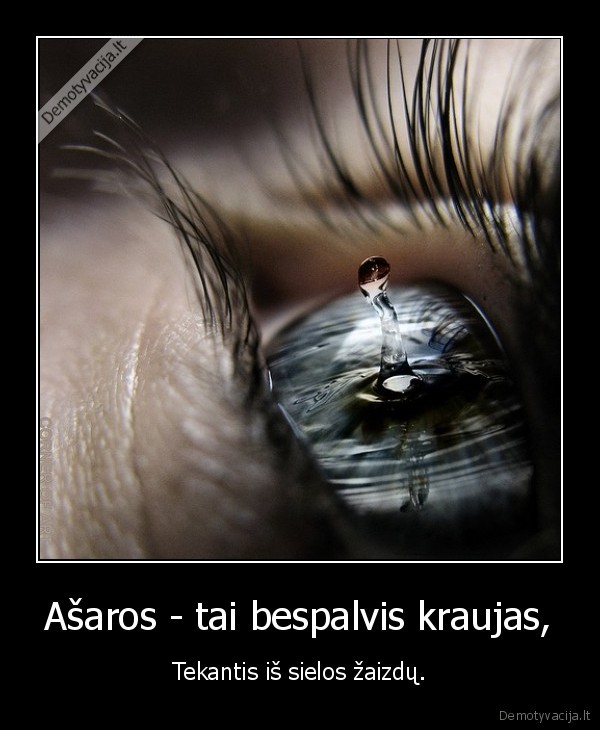 asaros,zaizda,kraujas,siela