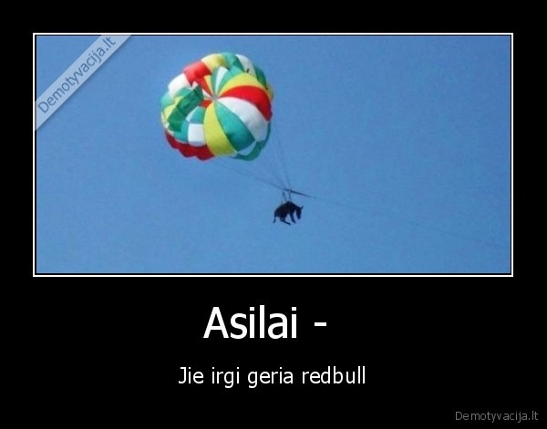 Asilai - 