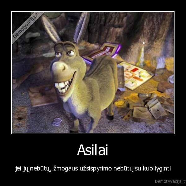 asilas,asilai,zmogus,uzsispyrimas