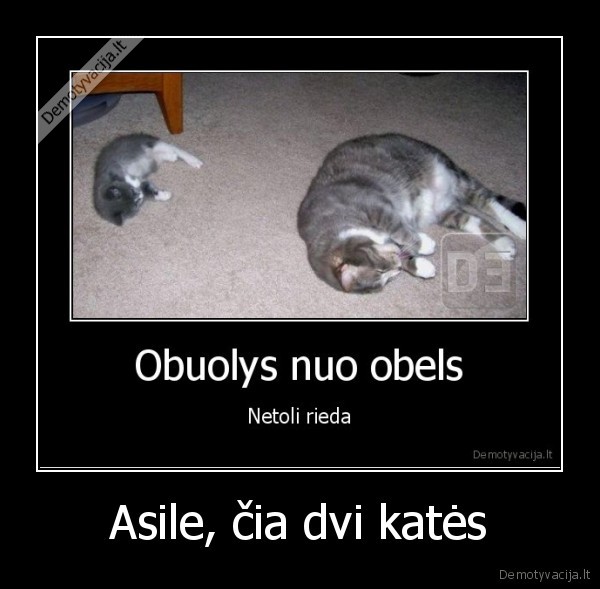 vaisiu, nuo, kaciu, neskiria, blet