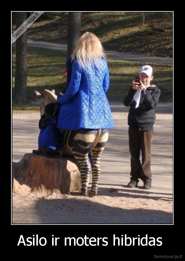 Asilo ir moters hibridas 
