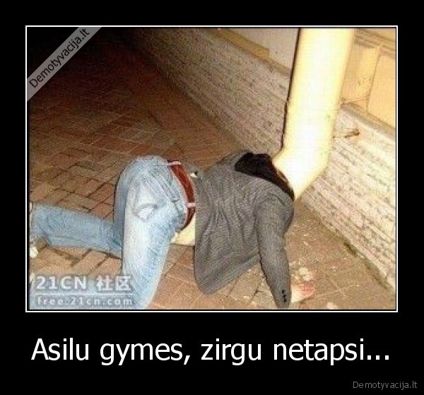 Asilu gymes, zirgu netapsi...