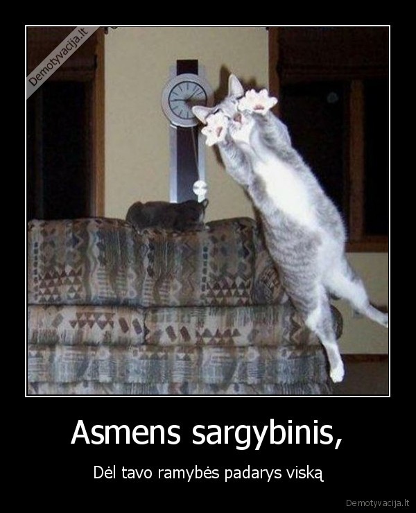 katinas,asmens, sargybinis