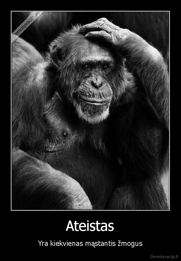 mastantis,tikintysis,primena,bezdzione,mastancia,apie,kvantine,fizika