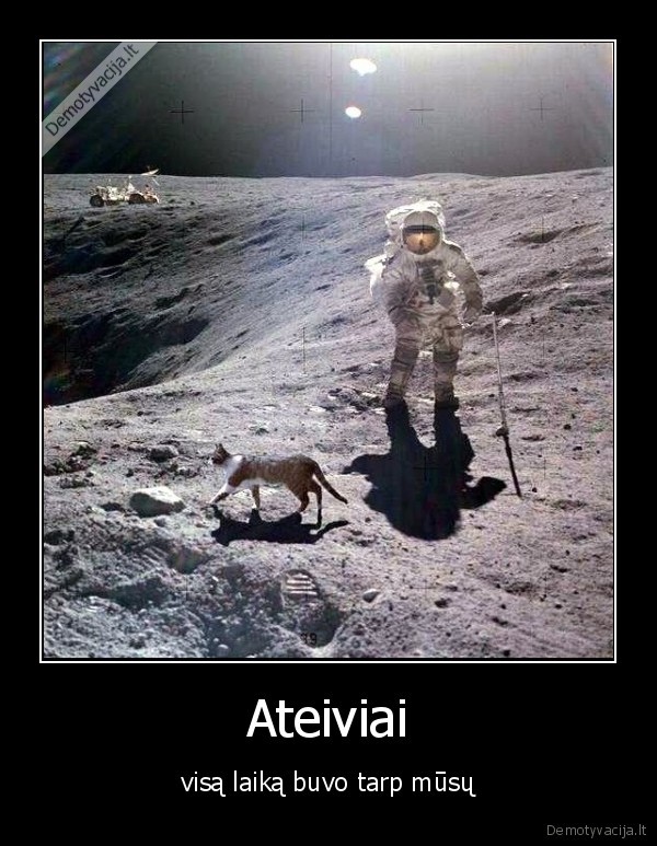 ateiviai,katinas