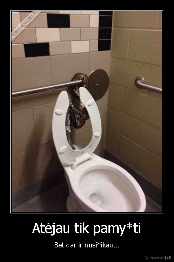 smauglys,gyvate, tualete,baisus, tualetas