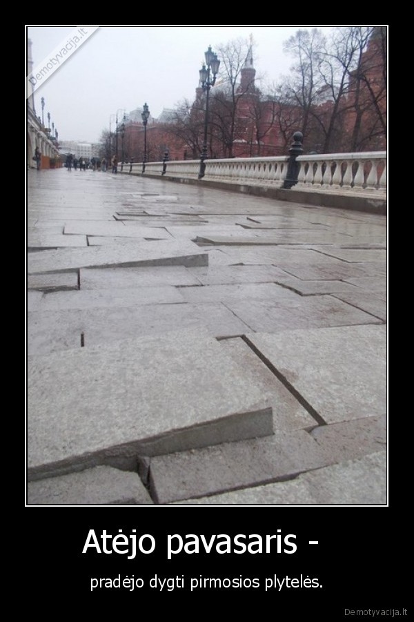 pavasaris,plyteles