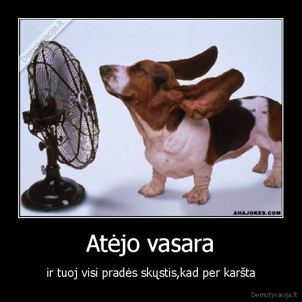 o,mano,meiles,vasara