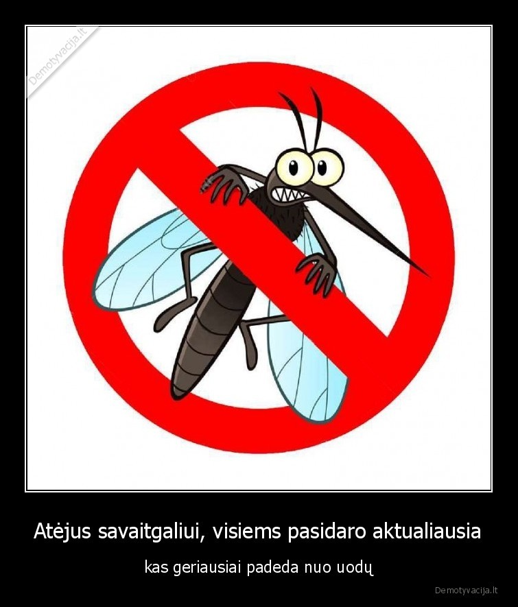 uodai,gamta,savaitgalis,aktualiausia,kas, padeda, nuo, uodu,apsauga, nuo, uodu