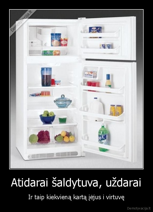 nedaryk, to, saldytuvo, vistiek, nieko, neemi