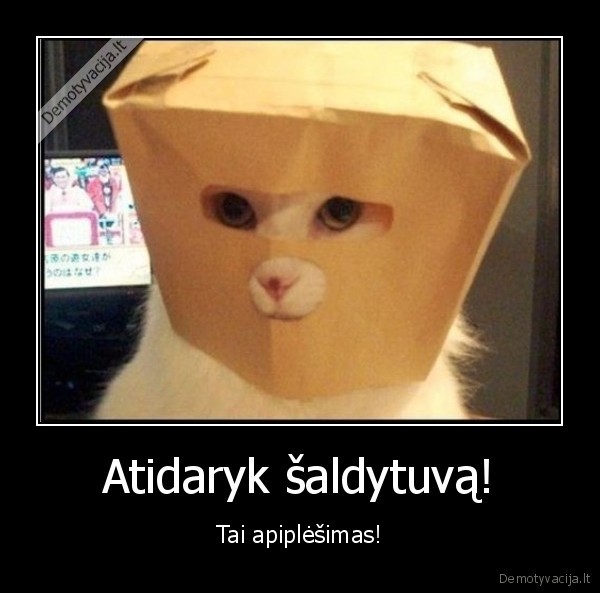 kita,jokinga,katinas,kauke,baisu