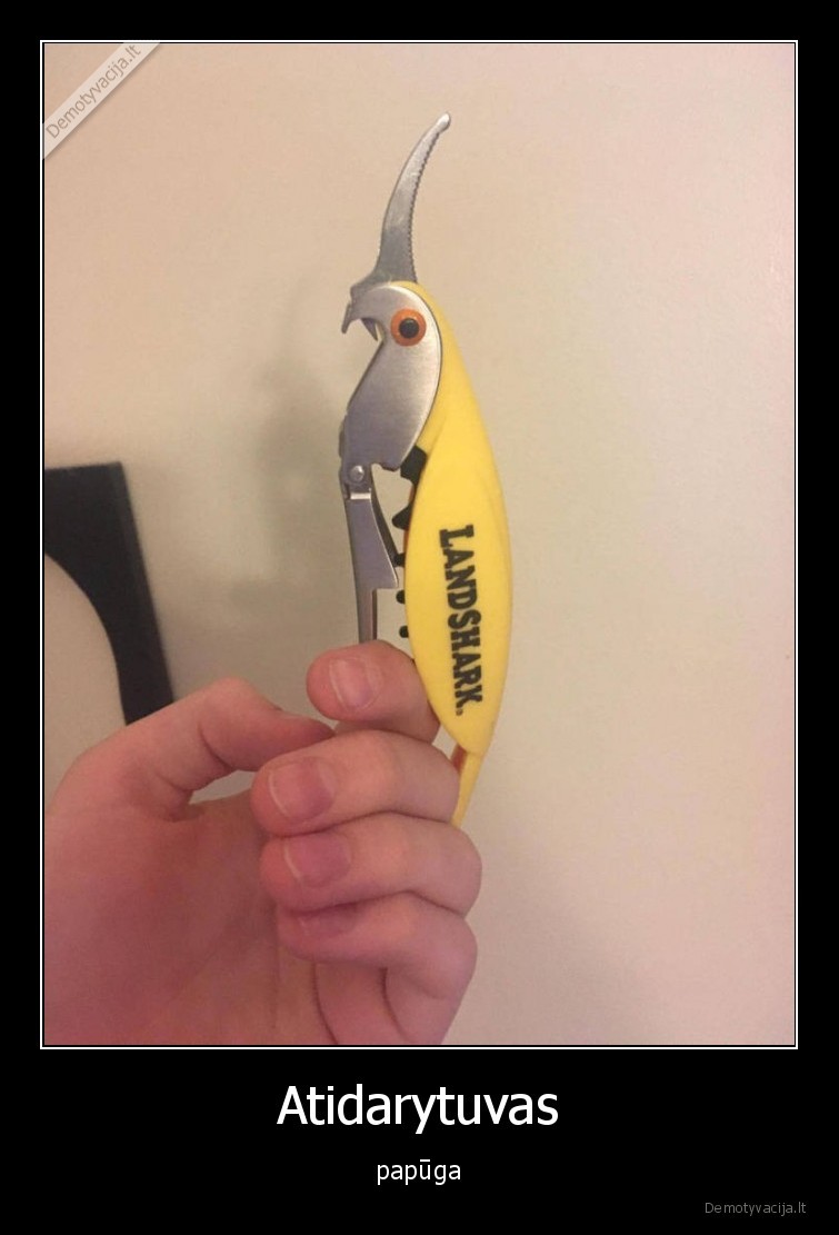 atidarytuvas,vyno,papuga