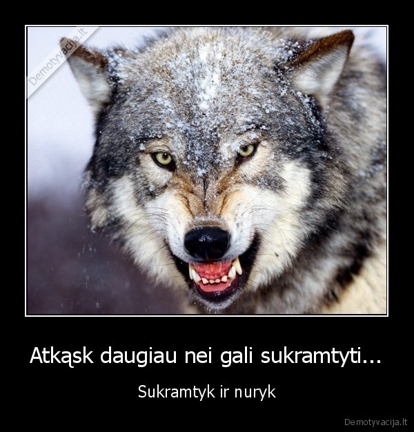 pasirizimas,pasitikejimas, savimi