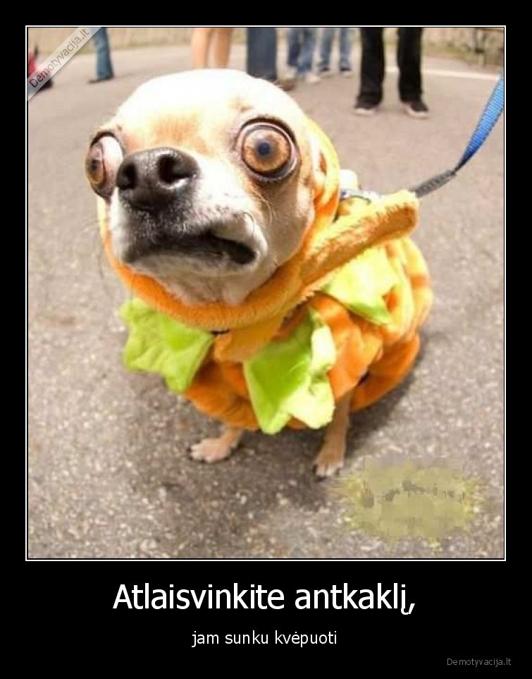 suo,antkaklis,kvepavimas