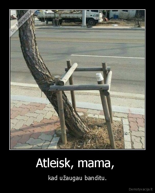 banditas,medis,thug, life