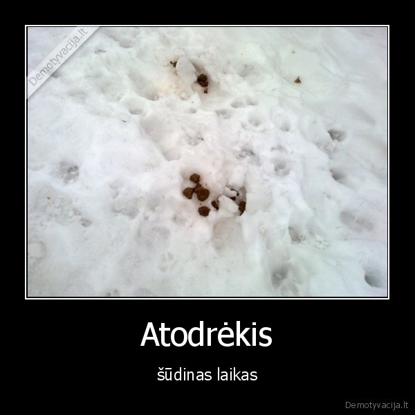 Atodrėkis