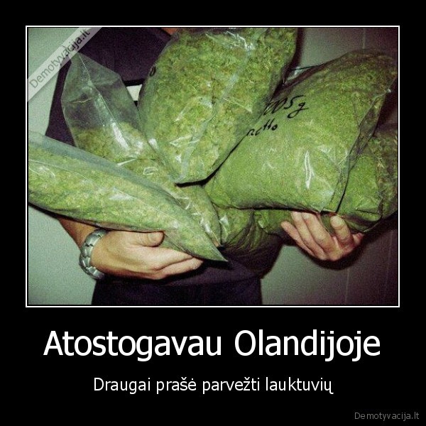 Atostogavau Olandijoje
