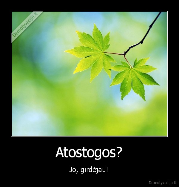 Atostogos?