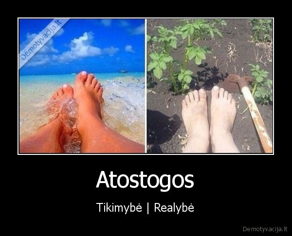 atostogos, kaime,darzas