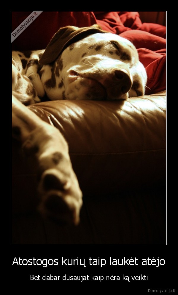 dusaujam,atostogos,kubilius, pisa, gaidi