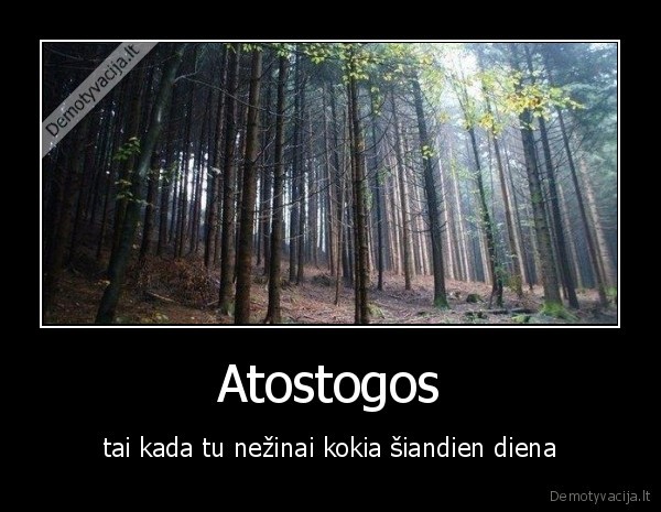 atostogos,nezinai,diena