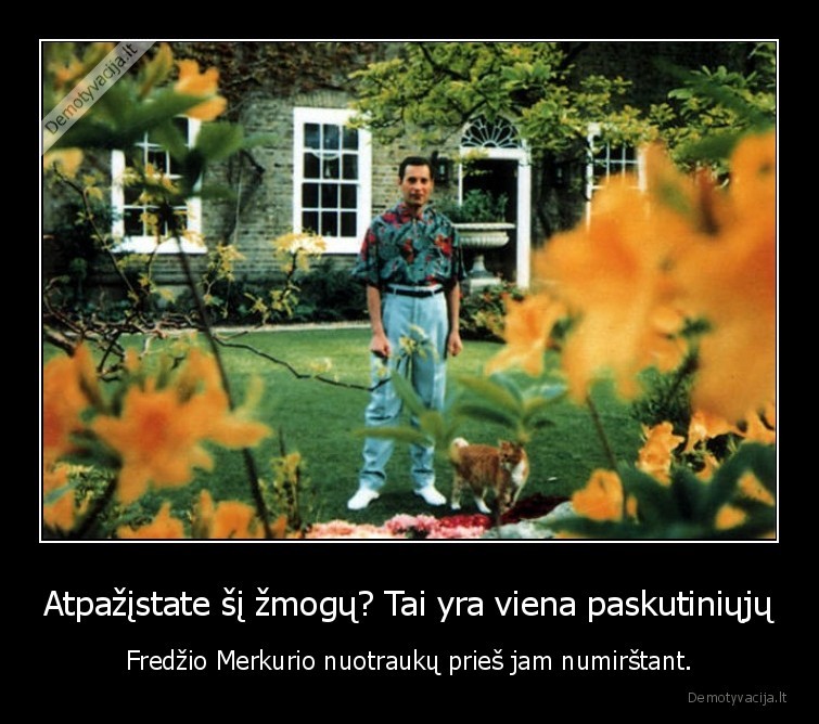 fredis, merkuris,nuotrauka,mirtis