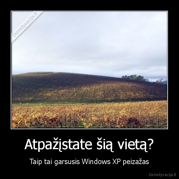 vieta,peizazas,windows, xp