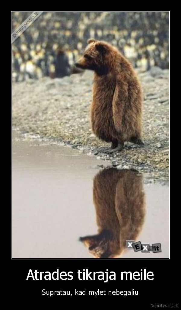 Atrades tikraja meile