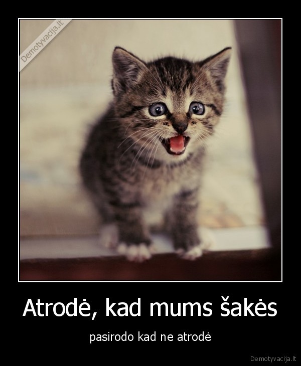 Atrodė, kad mums šakės