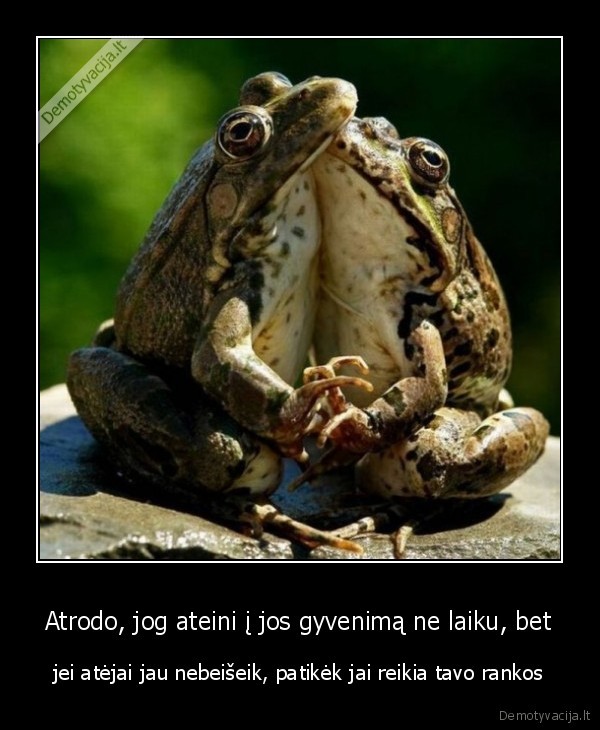 kubilius, krusa, seima