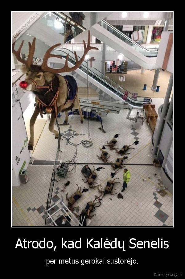 kaledu, senelis,storas,elniai,fail