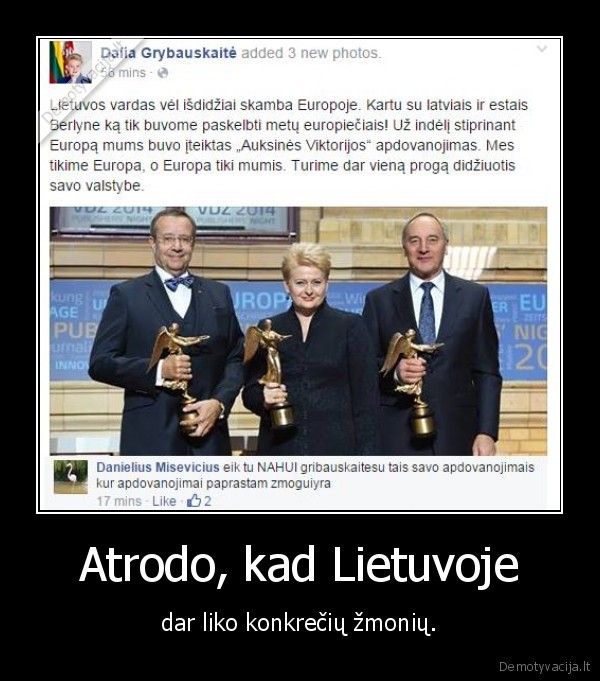 grybauskaite,apdovanojimas,komentaras