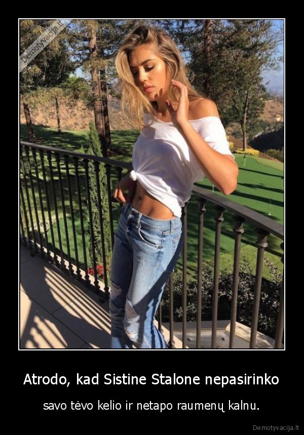 sistine, stalone,stalone,raumenys