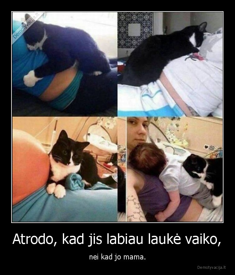 kate,katinas,vaikas,mama
