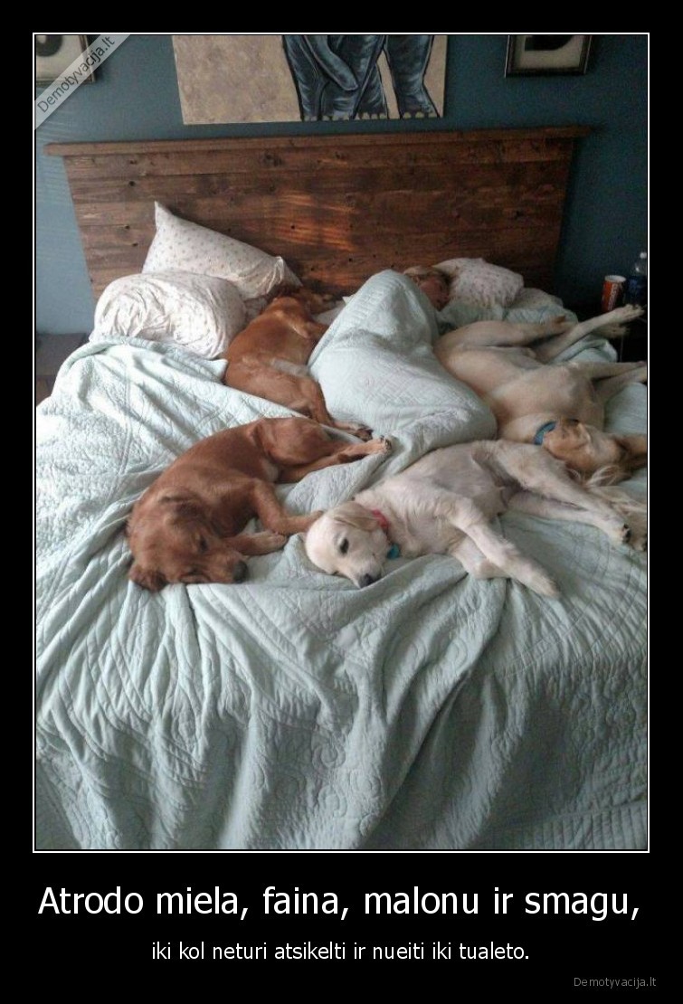 miegas,suo,sunys,tualetas