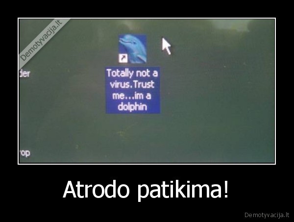 virusas,delfinas,nuoroda