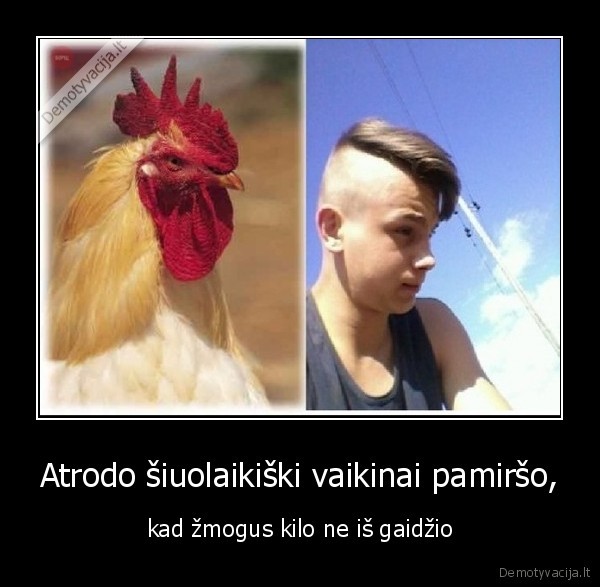 sukuosena,skiautere,vaikinai