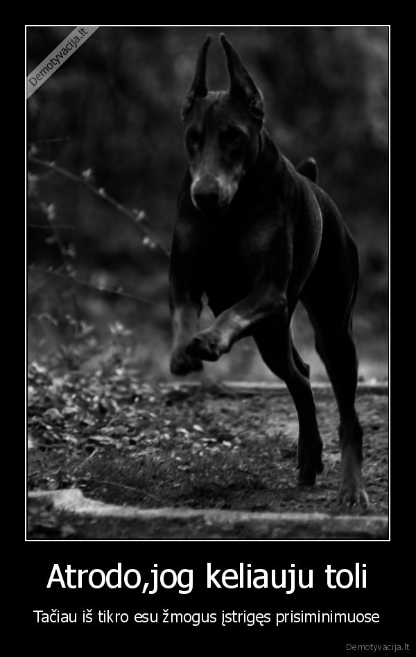 Atrodo,jog keliauju toli