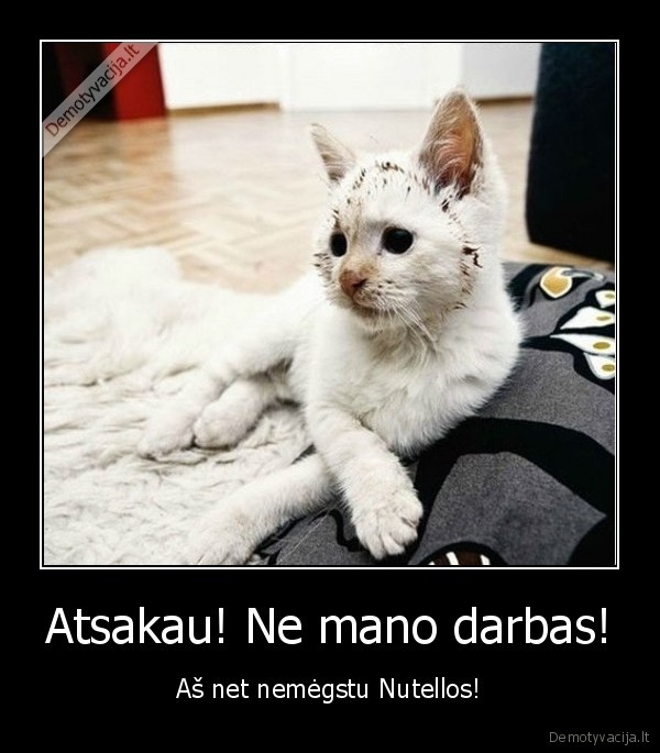 nutella,issitepes, katinas,kaltas, katinas