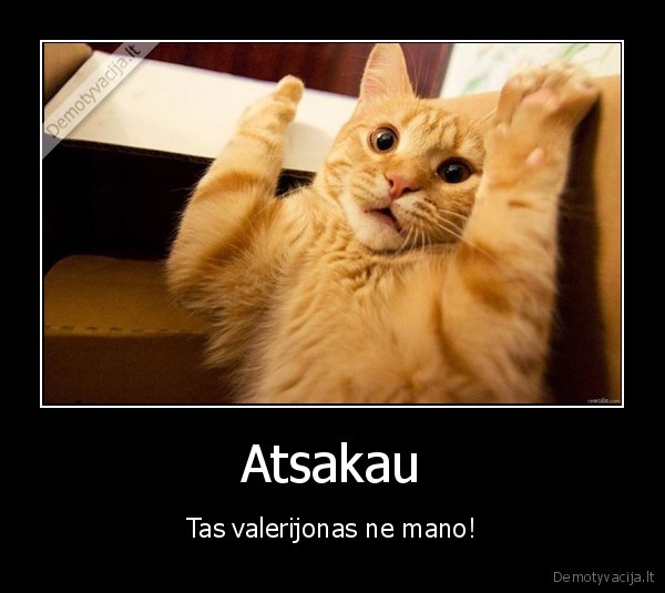 valerijonas,apsinesusi, kate,kate, nusikaltele