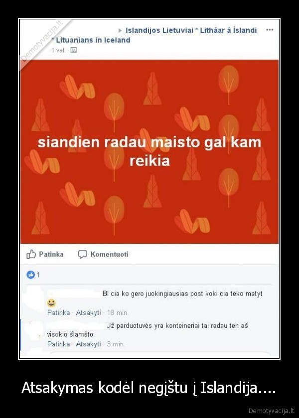 emigracija,islandija