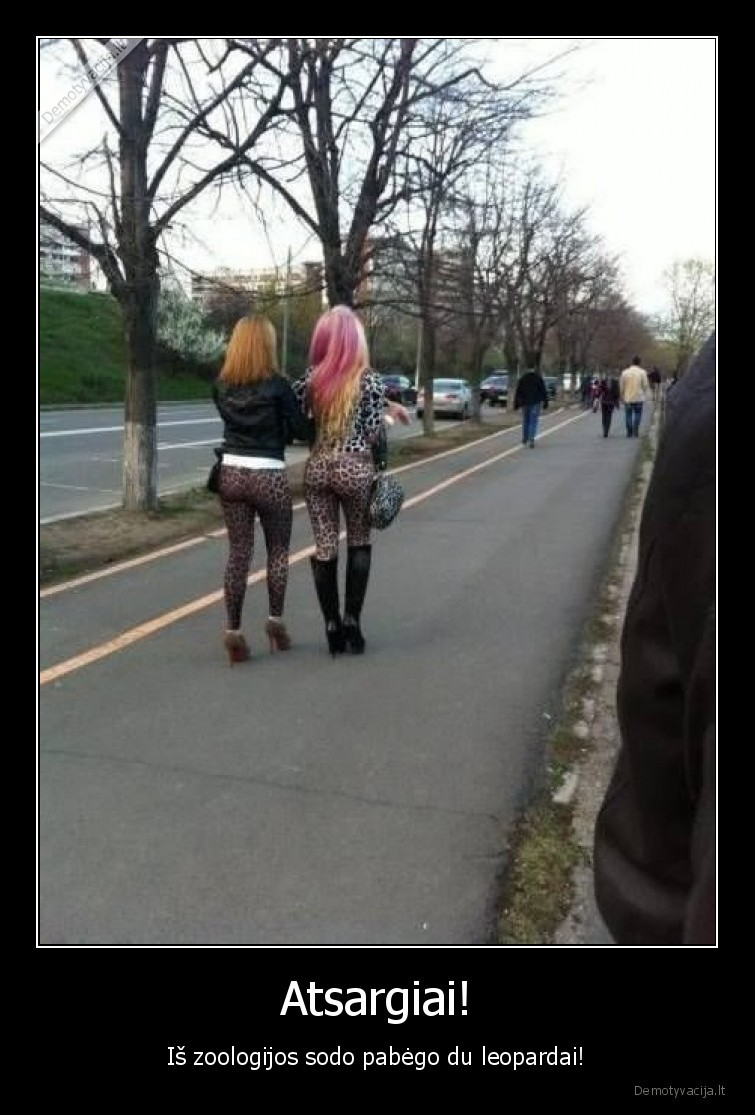 leopardo, kailis,tympos