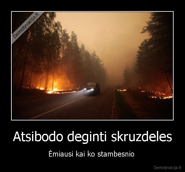 gaisras,suauge, vaikai, su, padidinamais, stiklais