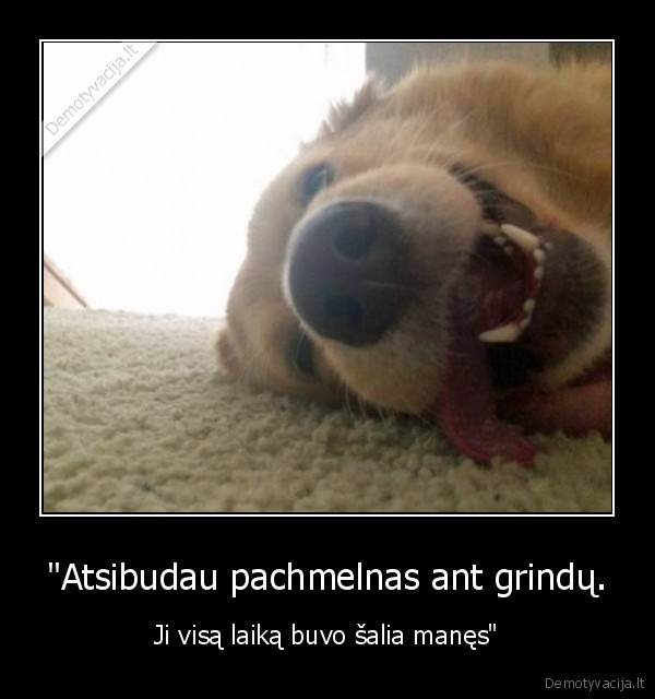 suo,pachmelas,girtumas