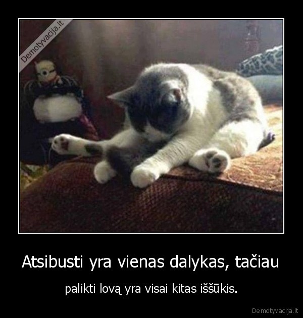 atsibudimas,lova,miegas