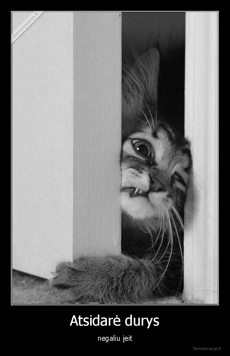 katinas,durys,free, finga