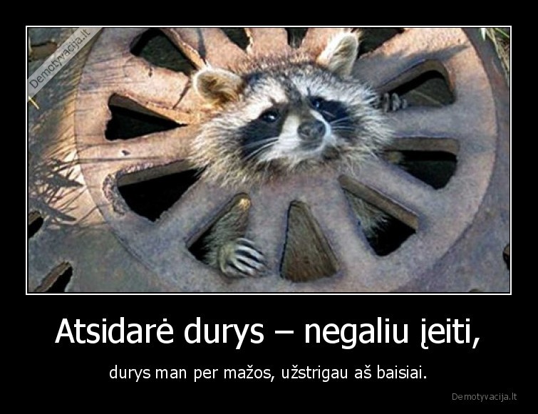 atsidare,durys,negaliu,ieiti,free, finga
