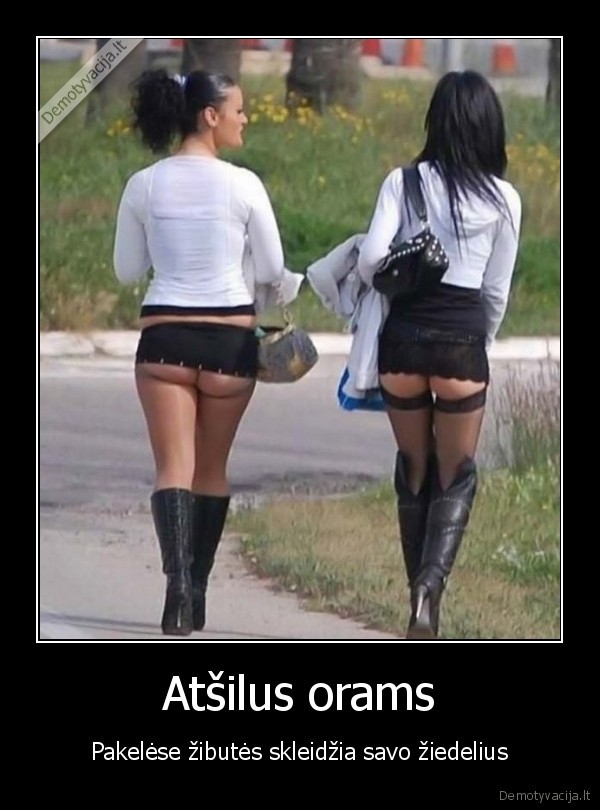 pakele,zibute,oras,ziedas