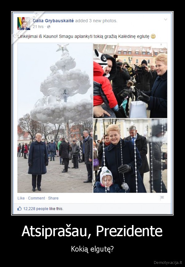 kaunas, be, eglutes,kauno, egle,dalia, grybauskaite