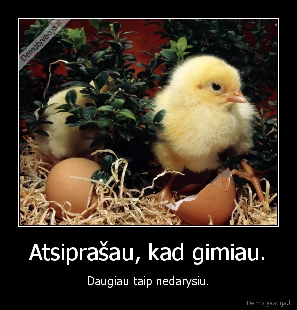 visciukas,gimimas,gime,daugiau,tai,nepasikartos